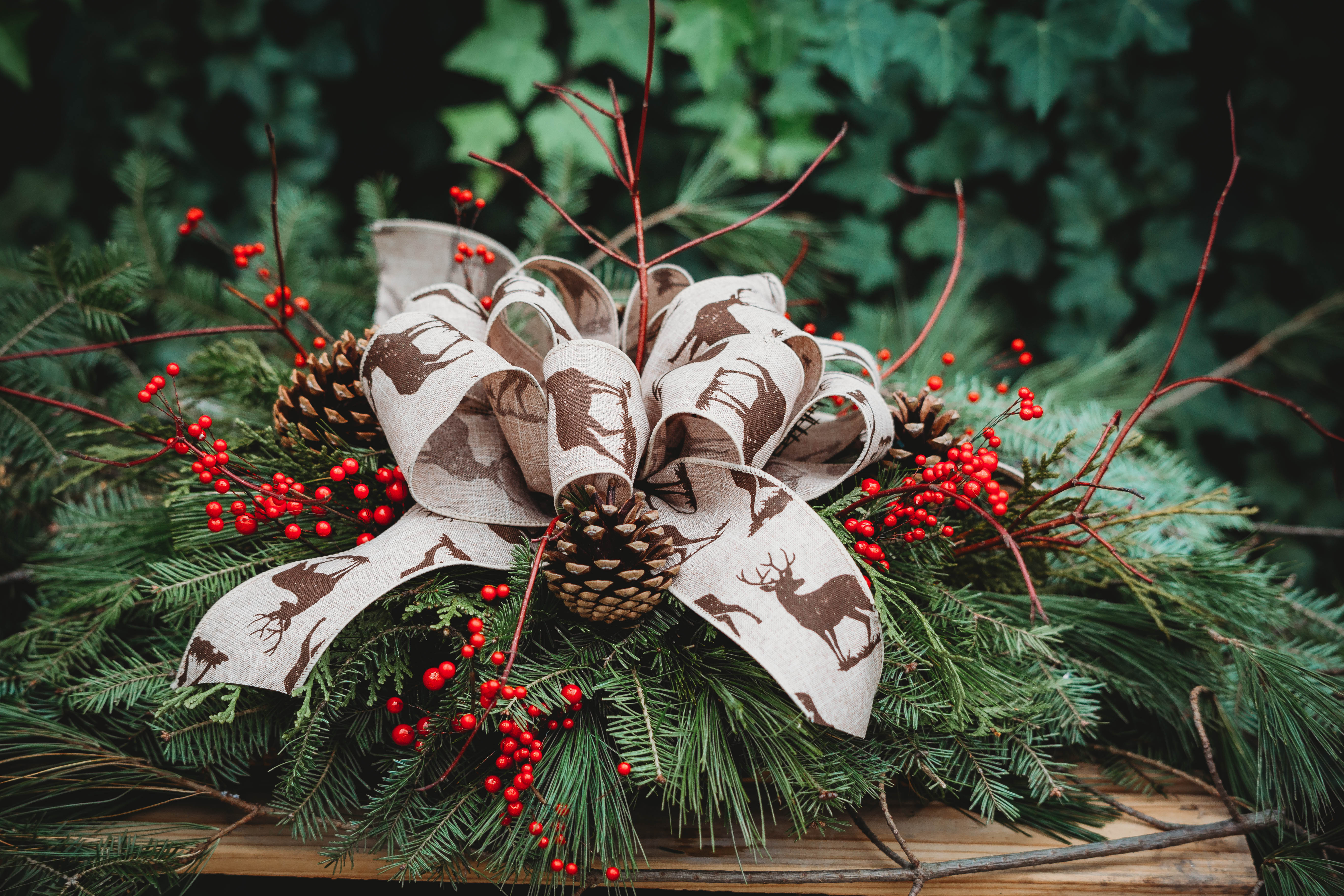 Christmas outdoors