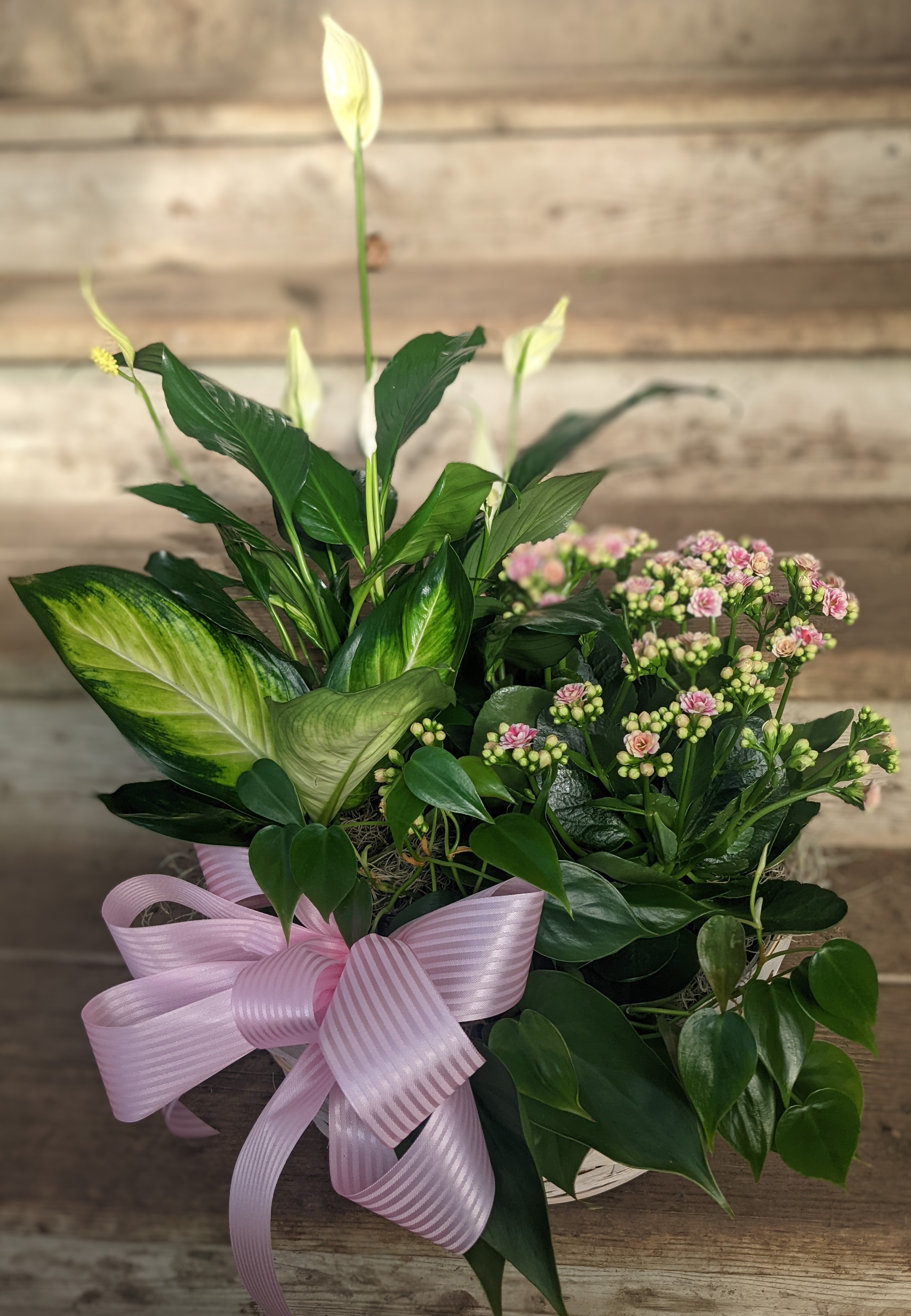 Small Plant Basket